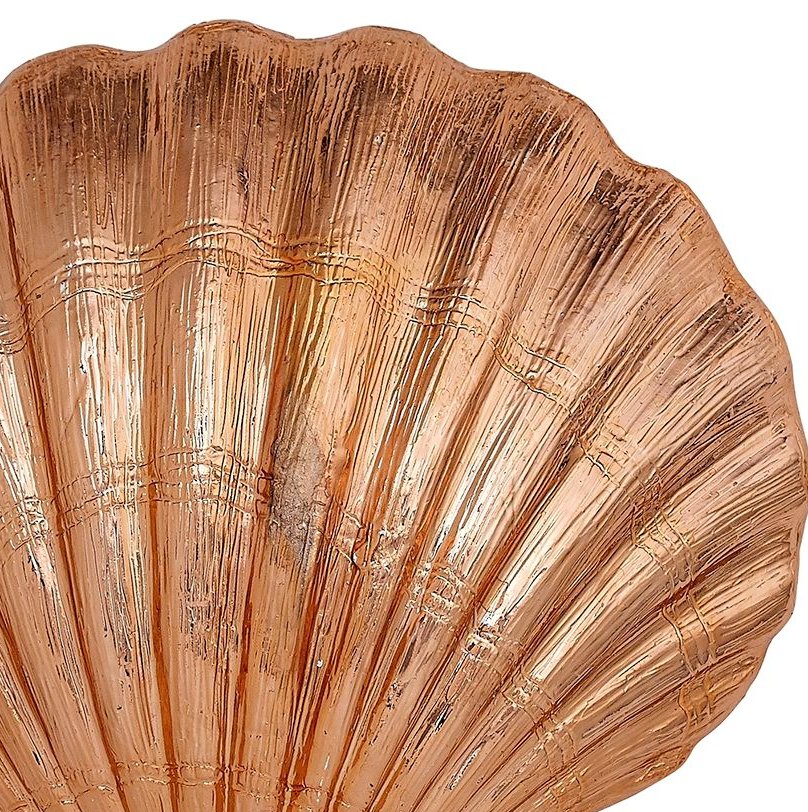 Gilded Glam Large Seashell Sets - Copper - Nautical Luxuries
