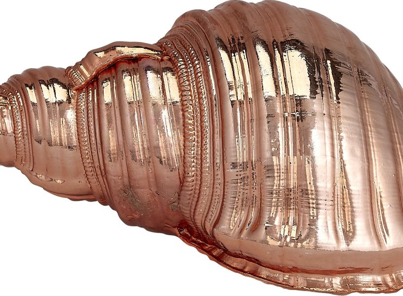 Gilded Glam Large Seashell Sets - Copper - Nautical Luxuries