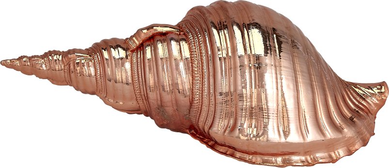 Gilded Glam Large Seashell Sets - Copper - Nautical Luxuries