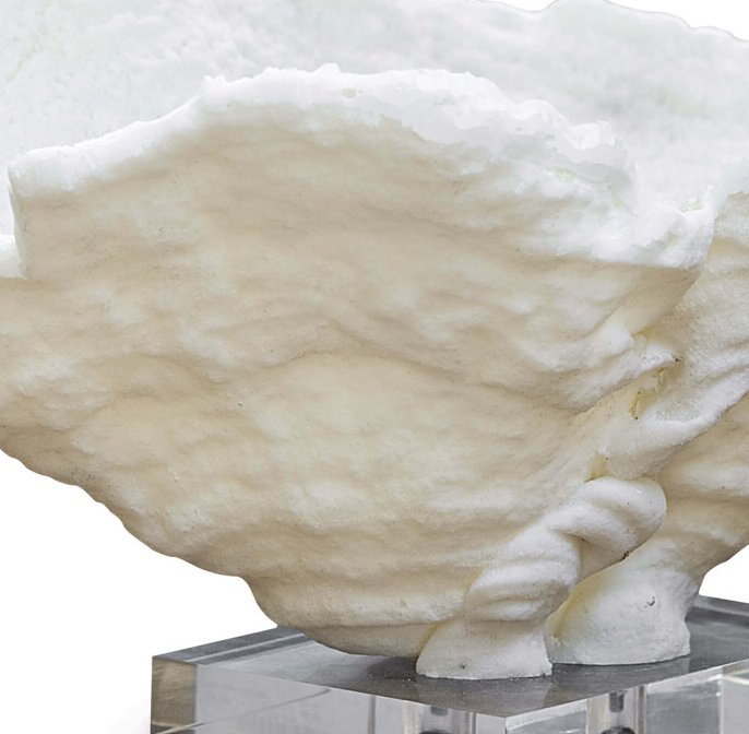 Outer Reef Large Coral Sculpture - Nautical Luxuries