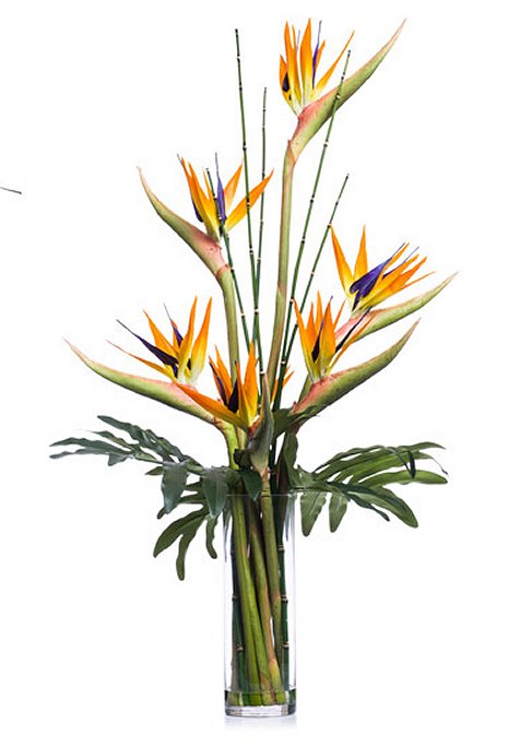 Bird of Paradise & Bamboo Yacht Silks Arrangement - Nautical Luxuries