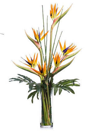Bird of Paradise & Bamboo Yacht Silks Arrangement - Nautical Luxuries