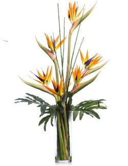Bird of Paradise & Bamboo Yacht Silks Arrangement - Nautical Luxuries
