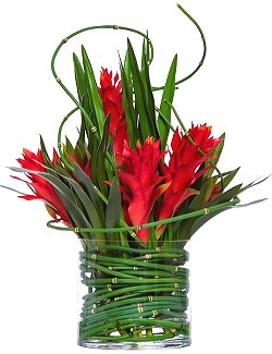 Deep Red Ginger & Bromeliad Yacht Silks Centerpiece Arrangement - Nautical Luxuries