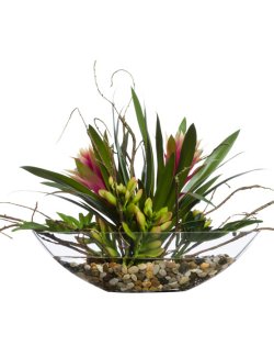 Tropical Bromeliads Yacht Silks Centerpiece Arrangement - Nautical Luxuries