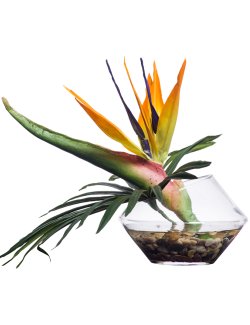 Bird of Paradise Stateroom Bouquet Yacht Silks Arrangement - Nautical Luxuries