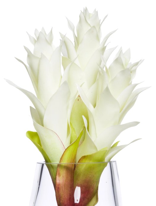 White Bromeliad Stateroom Bouquet Yacht Silks Arrangement - Nautical Luxuries