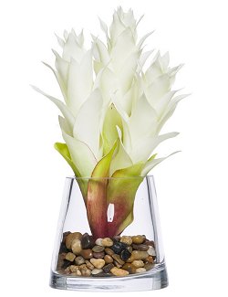 White Bromeliad Stateroom Bouquet Yacht Silks Arrangement - Nautical Luxuries